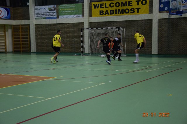 pfin 33